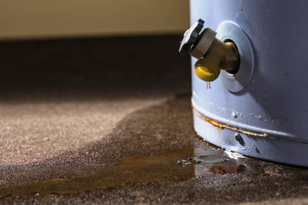 Best 24-hour water damage restoration  in Amberley, OH