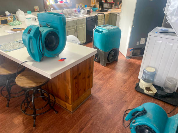 Best Flooded house restoration  in Amberley, OH