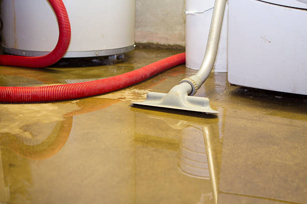 Best Ceiling water damage repair  in Amberley, OH