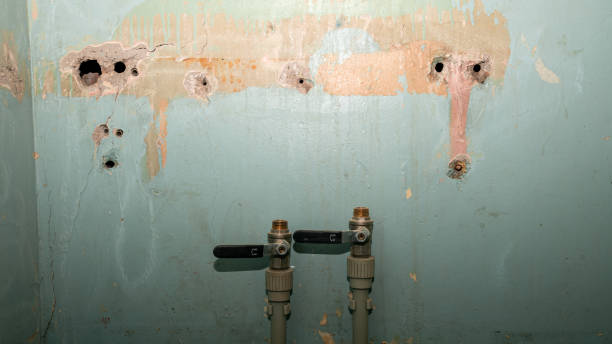 Best Basement water damage restoration  in Amberley, OH