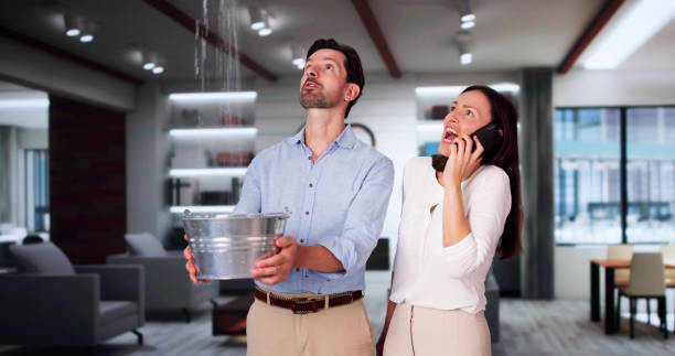 Best Sewage cleanup and water damage restoration  in Amberley, OH